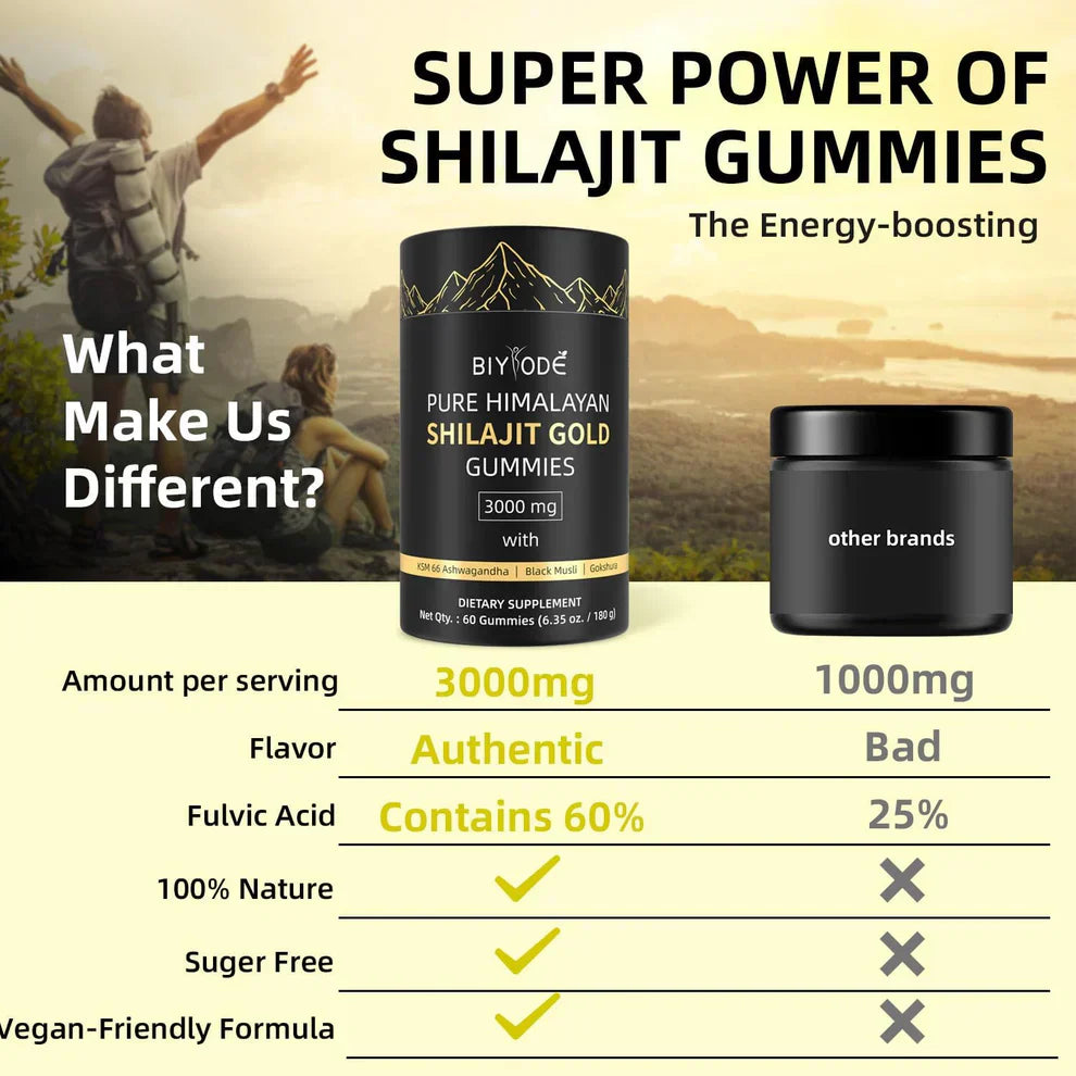 Shilajit Gummies jar placed with Himalayan rock, resin chunk, and herbs for natural energy theme