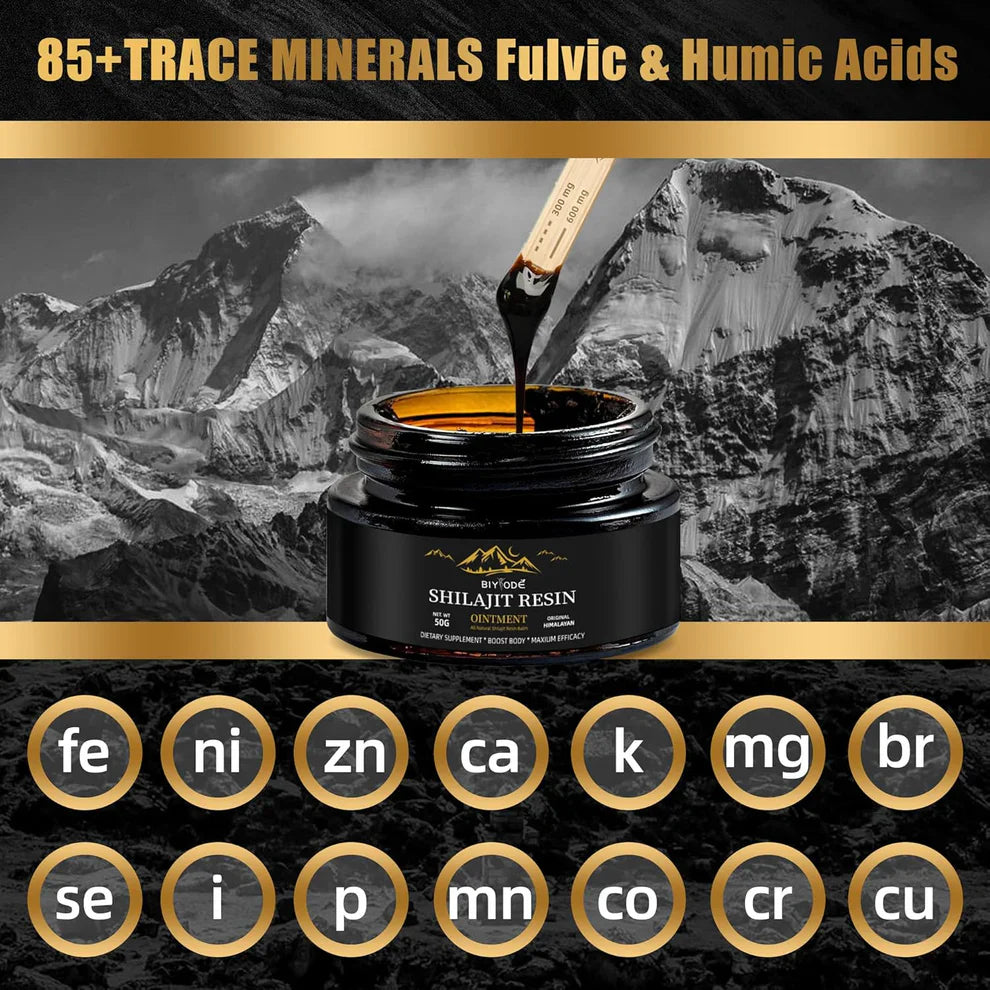 Bodywise Shilajit Resin – Pure Himalayan Energy & Vitality Booster