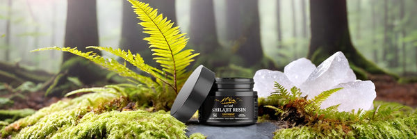 How Long Does Shilajit Take to Work? Complete Results Timeline