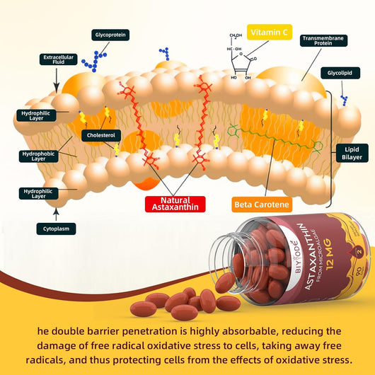 Premium Astaxanthin Softgels Daily Use