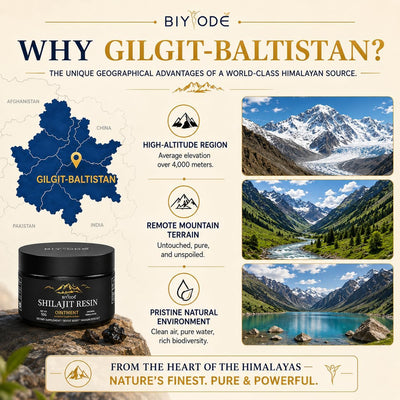 Pure Himalayan Shilajit Resin 30G