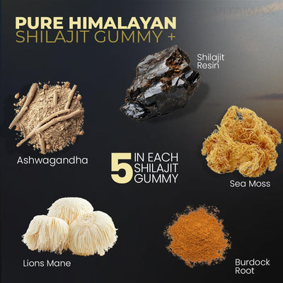 Himalayan Shilajit Resin Natural Formula