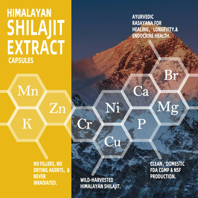 Pure Natural Himalayan Shilajit Capsules With Ashwagandha Ginseng Healthcare Vitamin 8-in-1